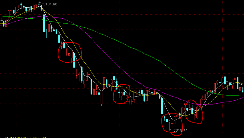 全椒县大墅镇:人大代表“点线面”结合提升农村人居环境