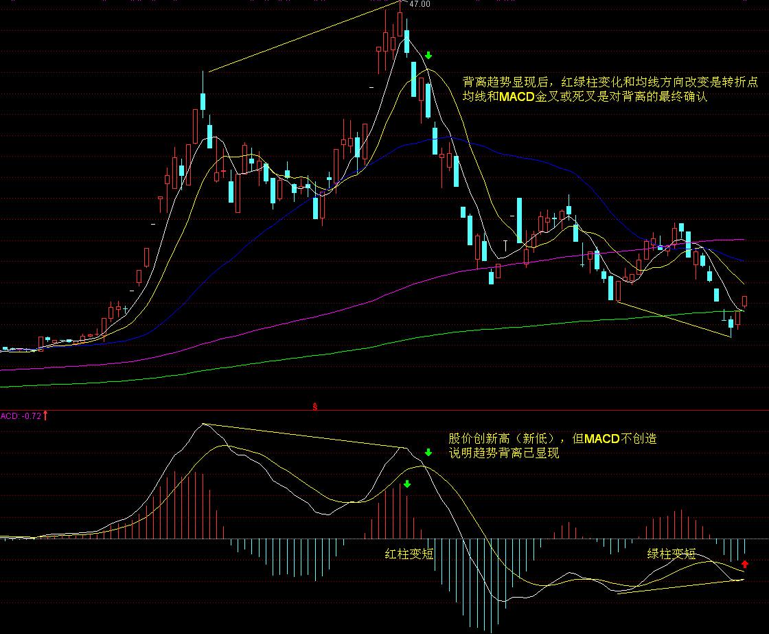 算力产业链将迎来新机遇? 花旗集团看好AI服务器制造商戴尔(DELL.US)业绩增长,指向AI基础设施红利