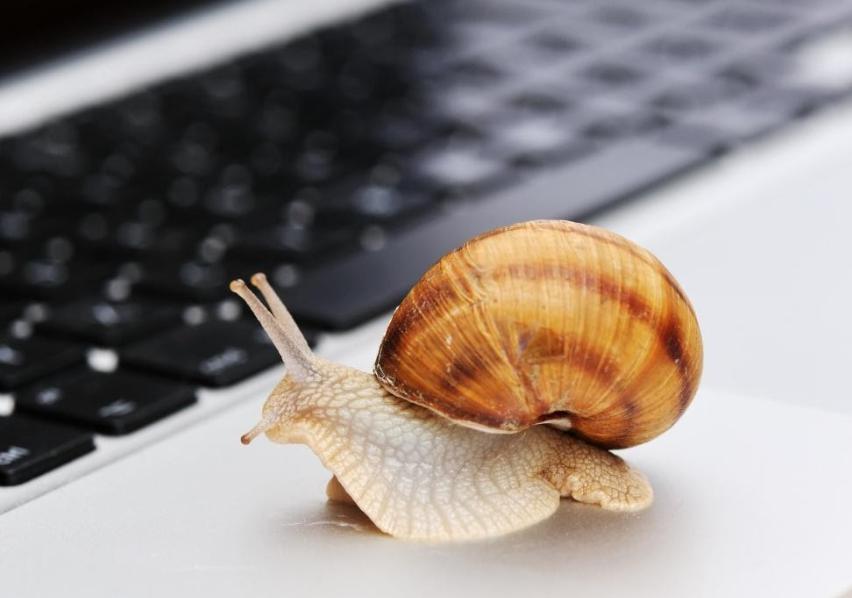 外交部：对俄罗斯持普通护照人员试行免签政策