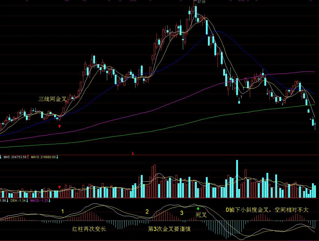 全国档案查询利用服务平台移动端APP上线